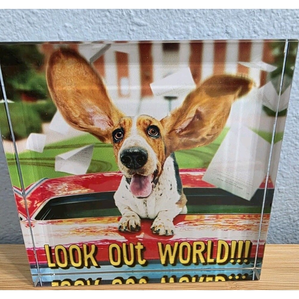 Basset Hound Glass Paperweight Avanti Dan Dee "Look out World" Happy Dog 5"x5"